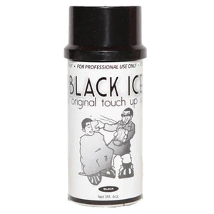 BLACK ICE TOUCH UP SPRAY - BLK 4oz.